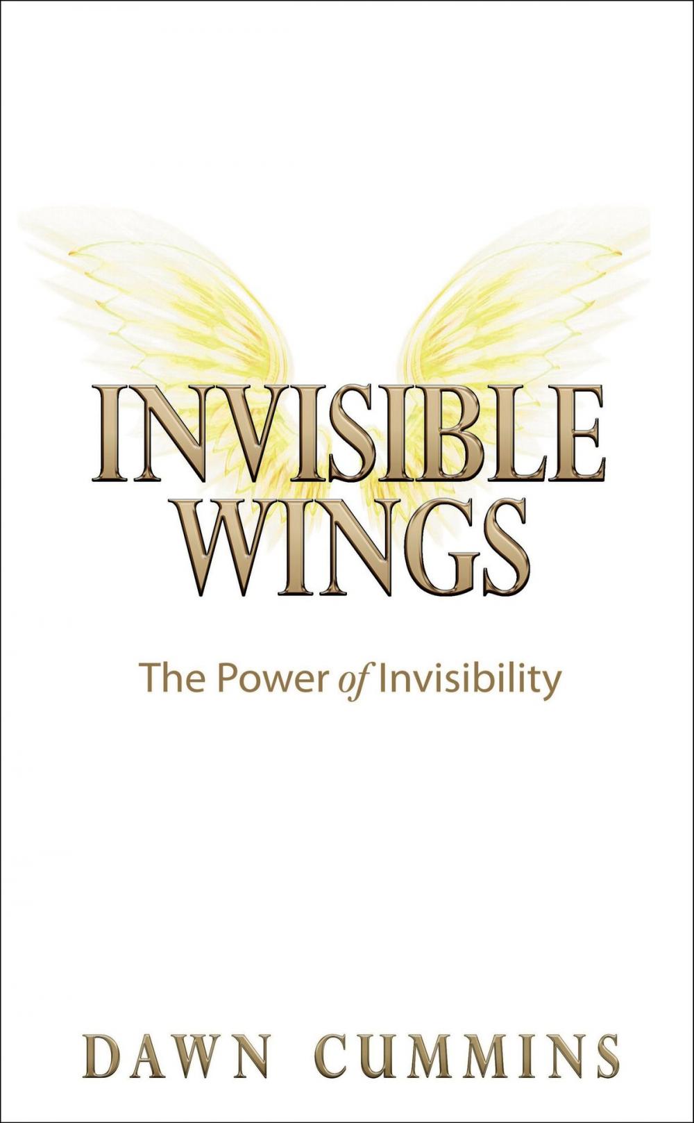 Big bigCover of Invisible Wings: The Power of Invisibility