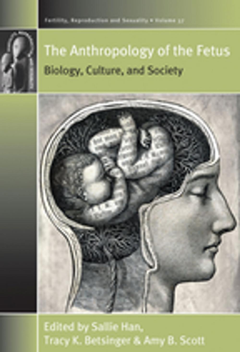 Big bigCover of The Anthropology of the Fetus