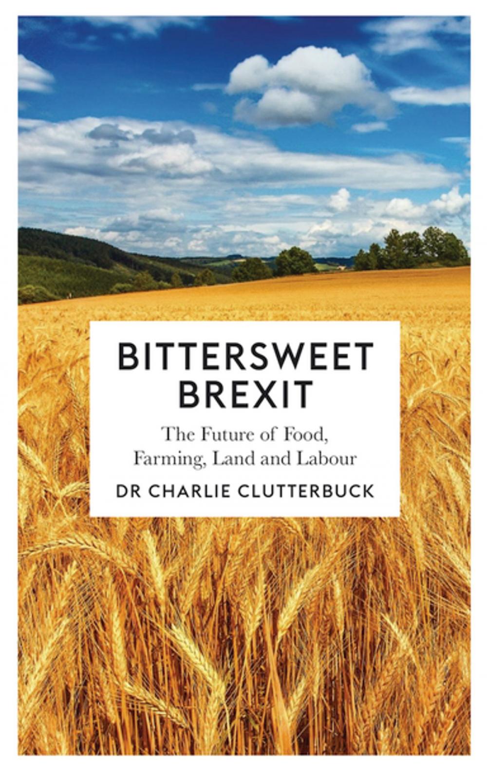 Big bigCover of Bittersweet Brexit