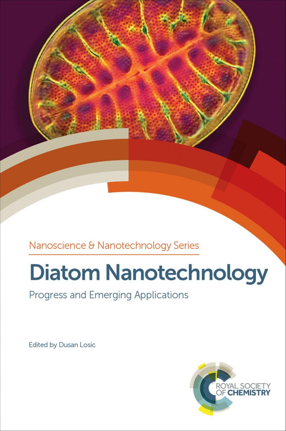 Big bigCover of Diatom Nanotechnology