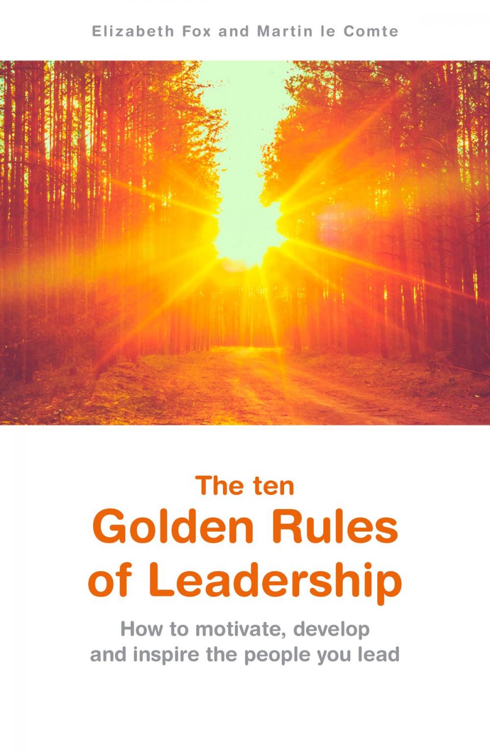 Big bigCover of The ten Golden Rules of Leadership