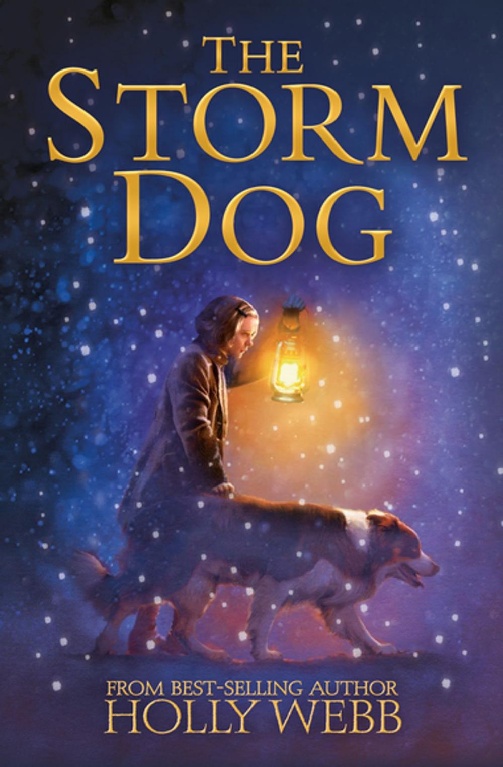 Big bigCover of The Storm Dog