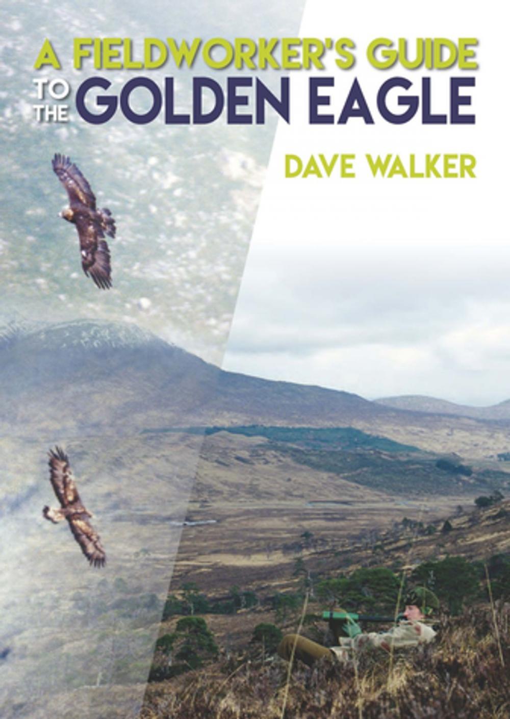 Big bigCover of A Fieldworker's Guide to the Golden Eagle