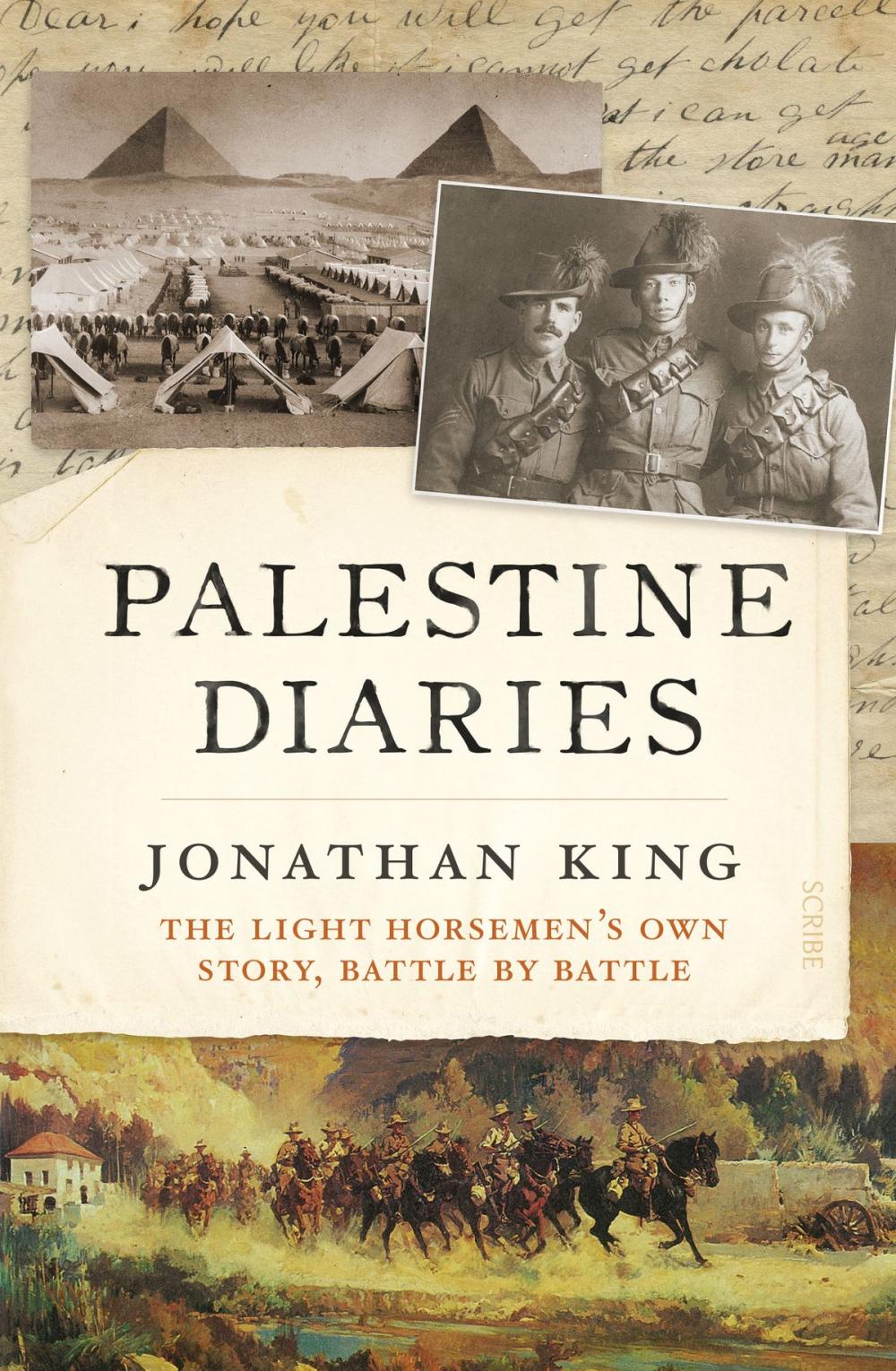 Big bigCover of Palestine Diaries