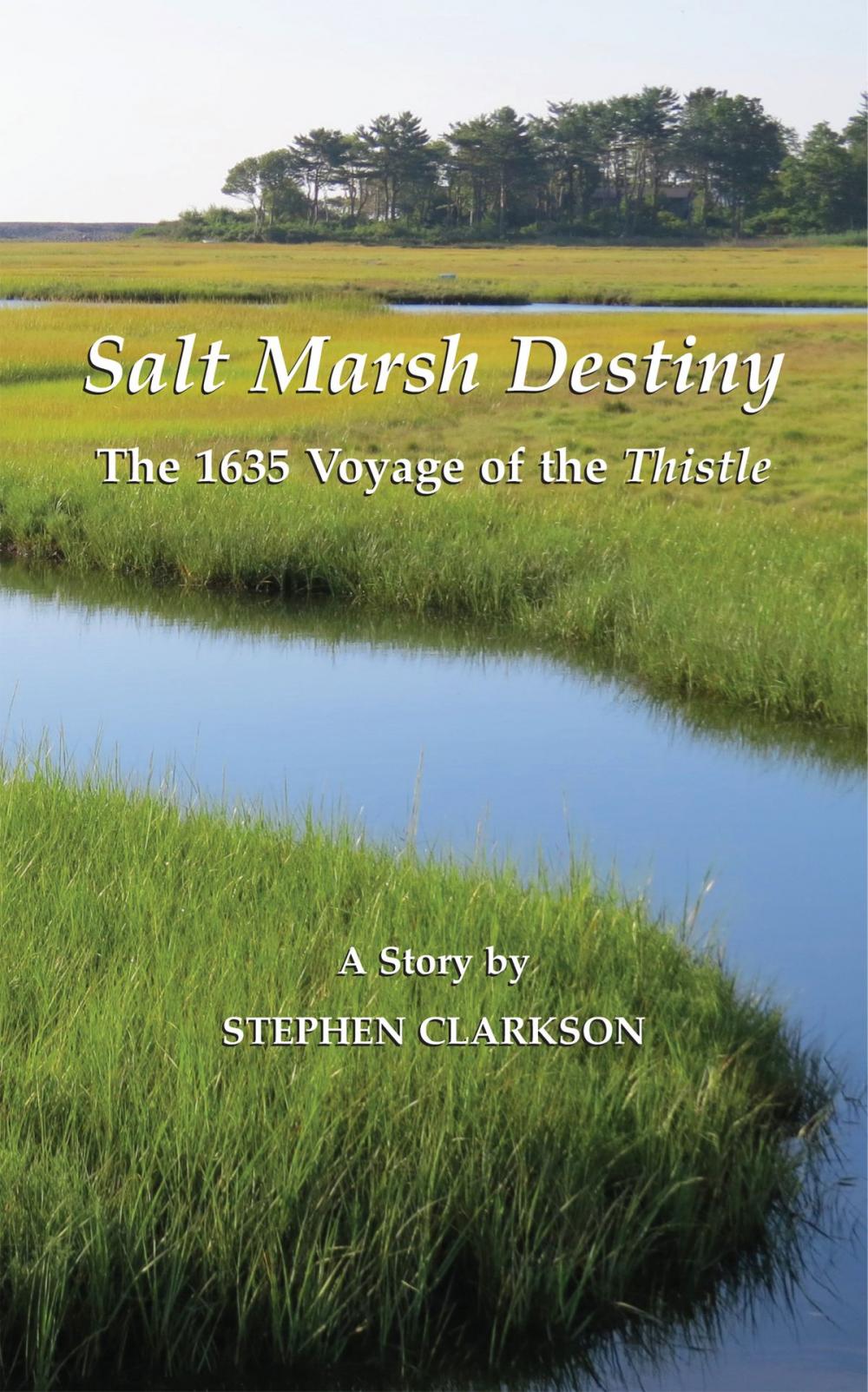 Big bigCover of Salt Marsh Destiny