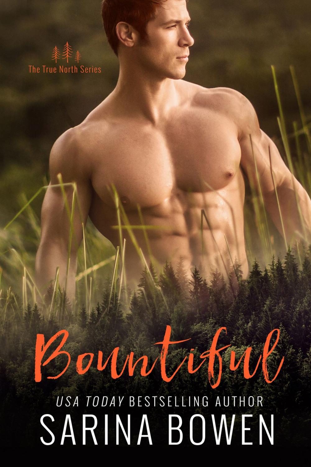 Big bigCover of Bountiful