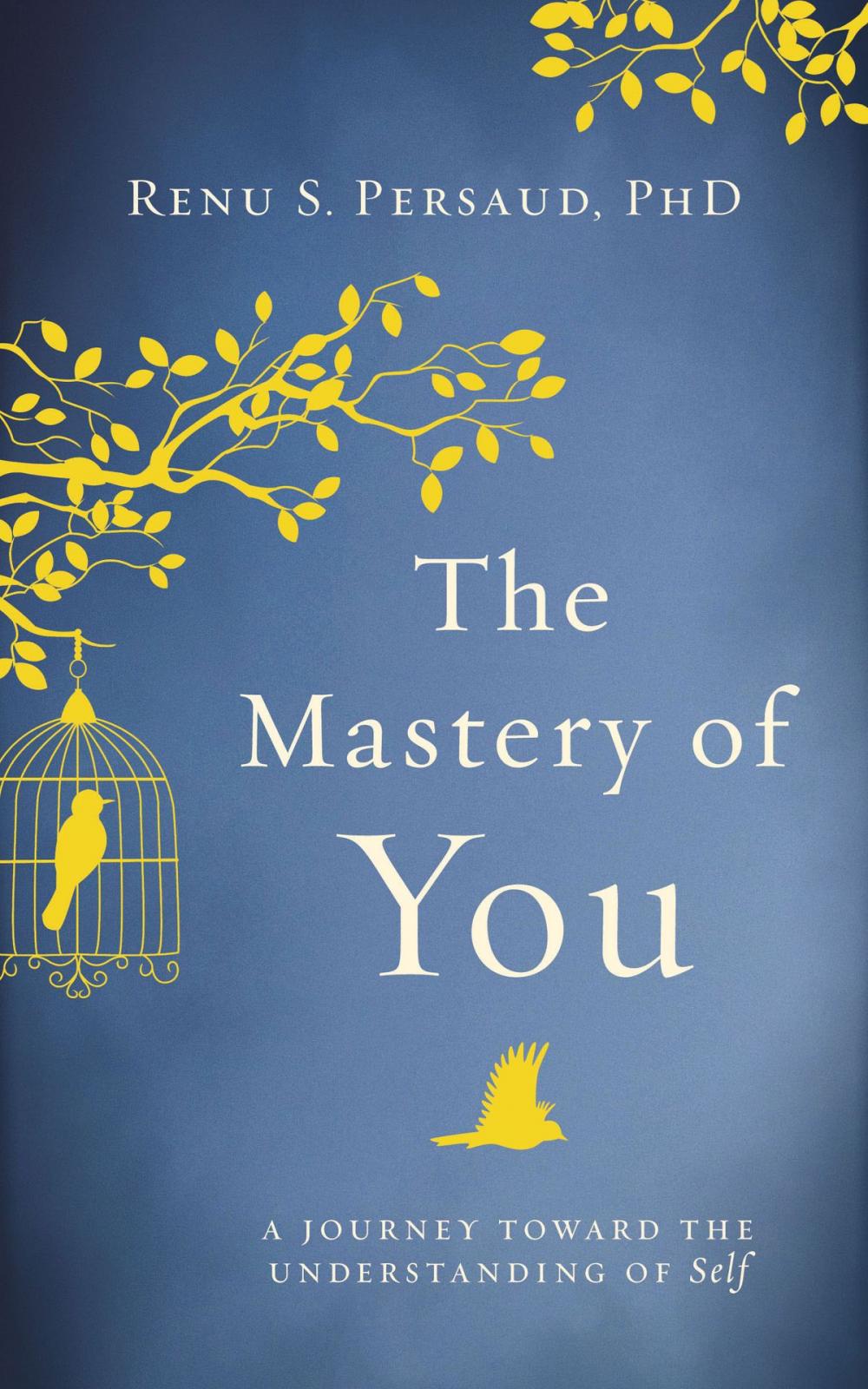 Big bigCover of The Mastery of You