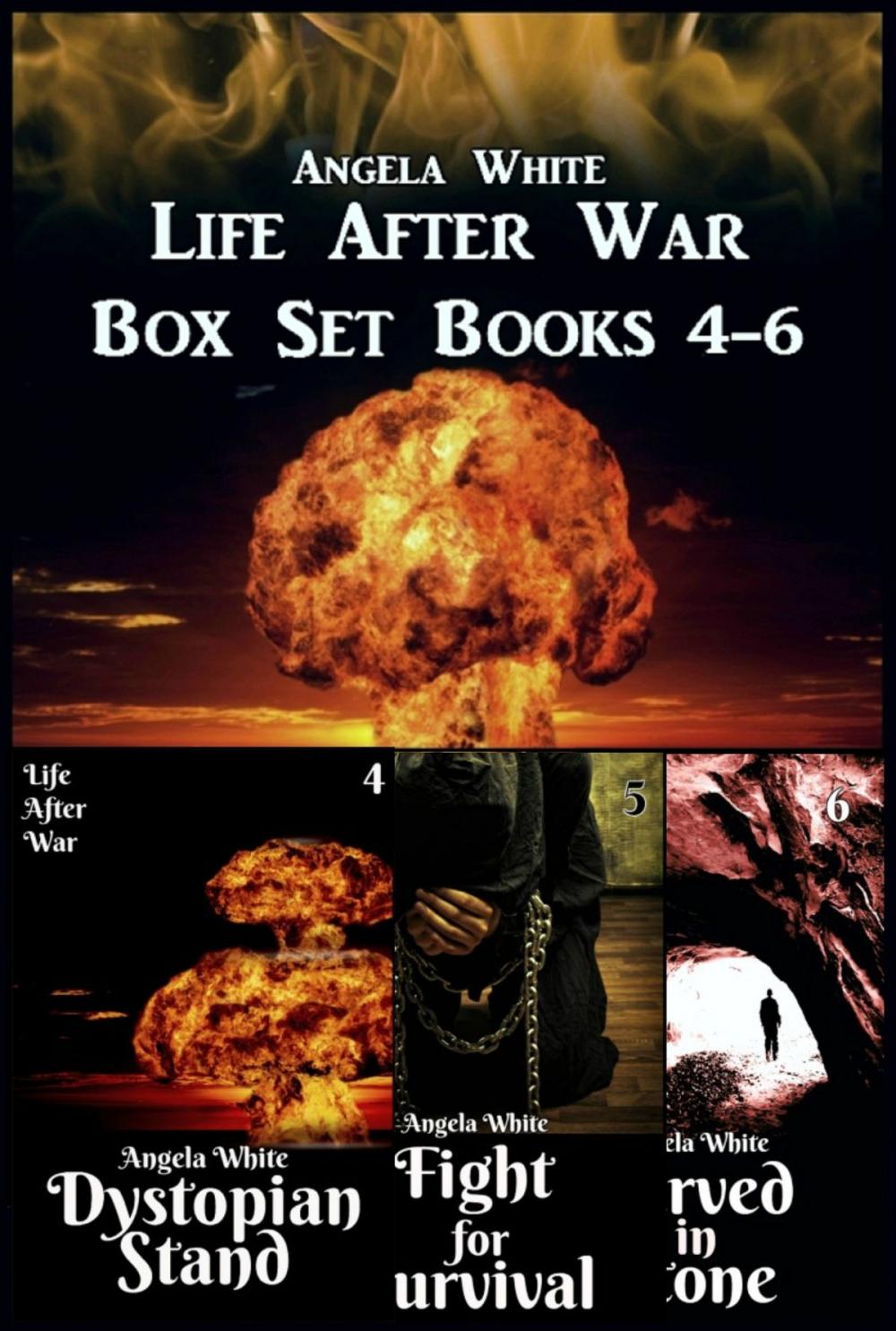 Big bigCover of Life After War Box Set 4-6