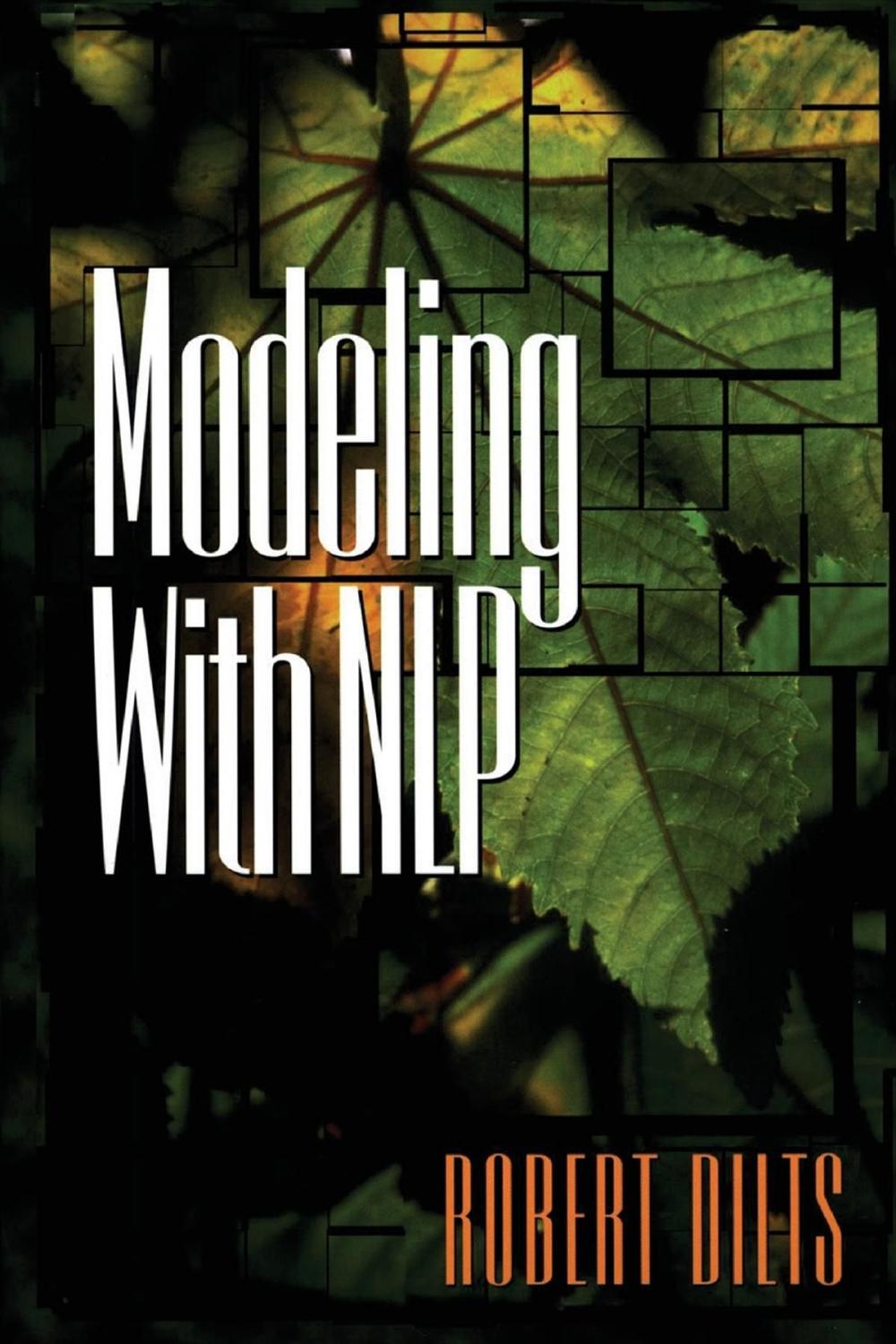 Big bigCover of Modeling with NLP