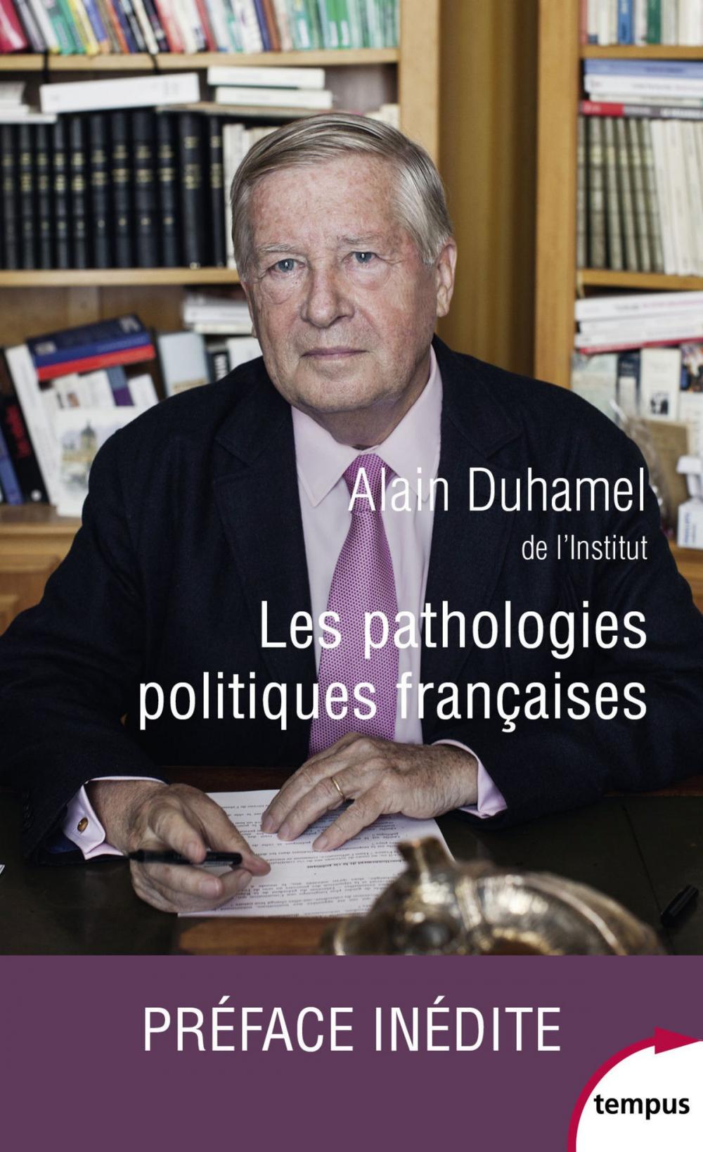 Big bigCover of Les pathologies politiques françaises