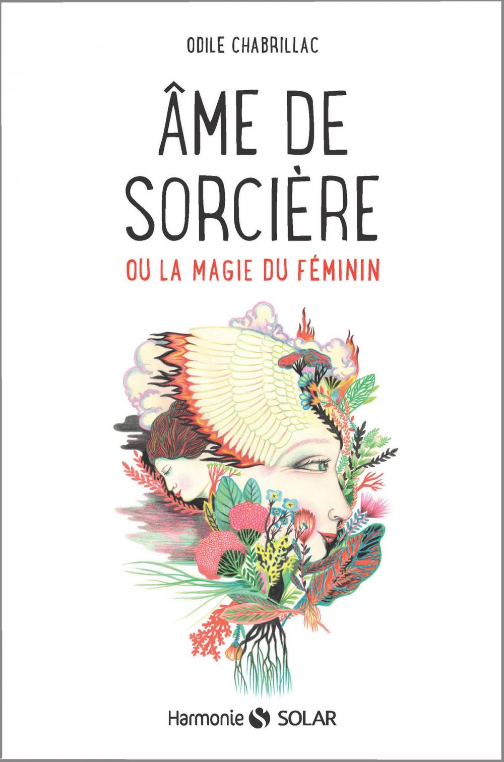 Big bigCover of Âme de sorcière