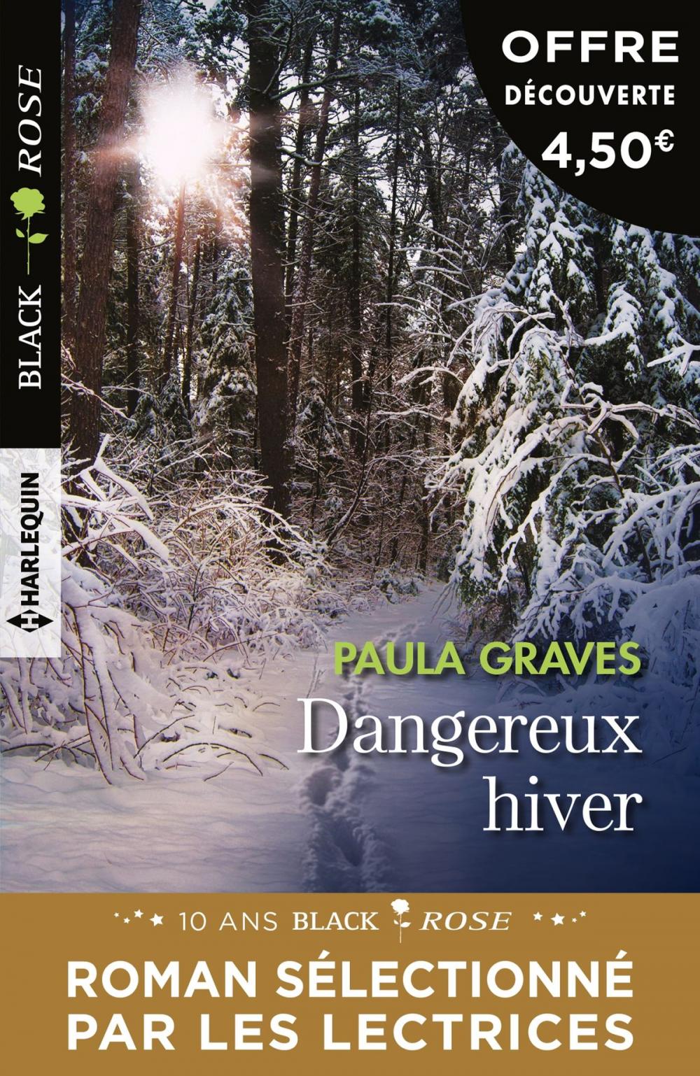 Big bigCover of Dangereux hiver