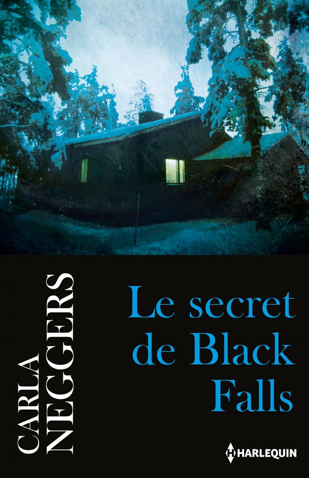 Big bigCover of Le secret de Black Falls