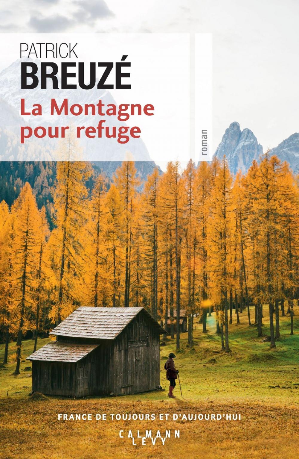 Big bigCover of La Montagne pour refuge