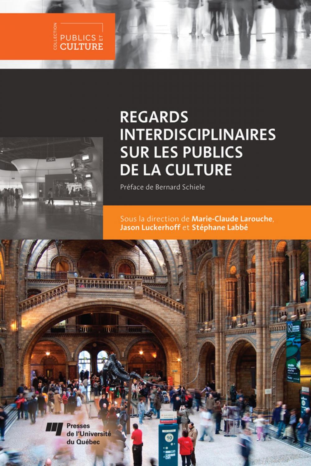 Big bigCover of Regards interdisciplinaires sur les publics de la culture