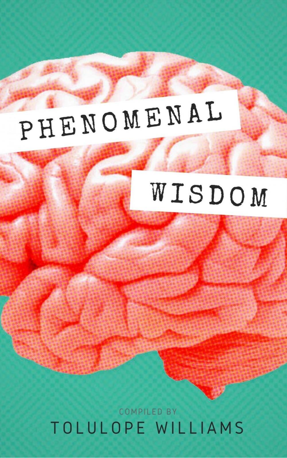 Big bigCover of Phenomenal Wisdom