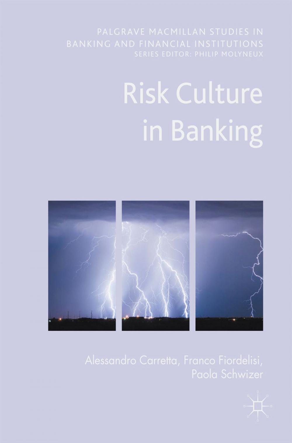 Big bigCover of Risk Culture in Banking