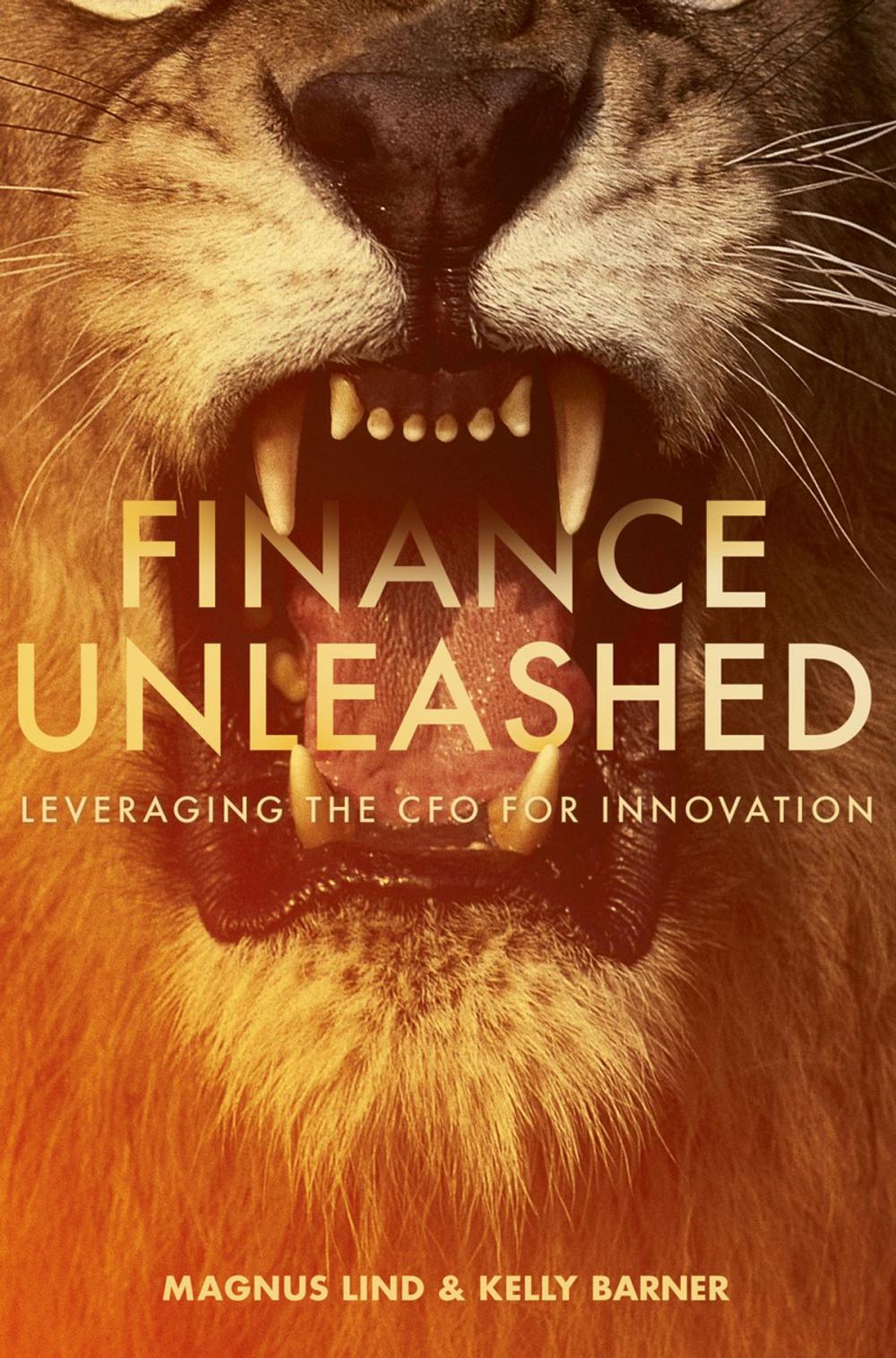 Big bigCover of Finance Unleashed