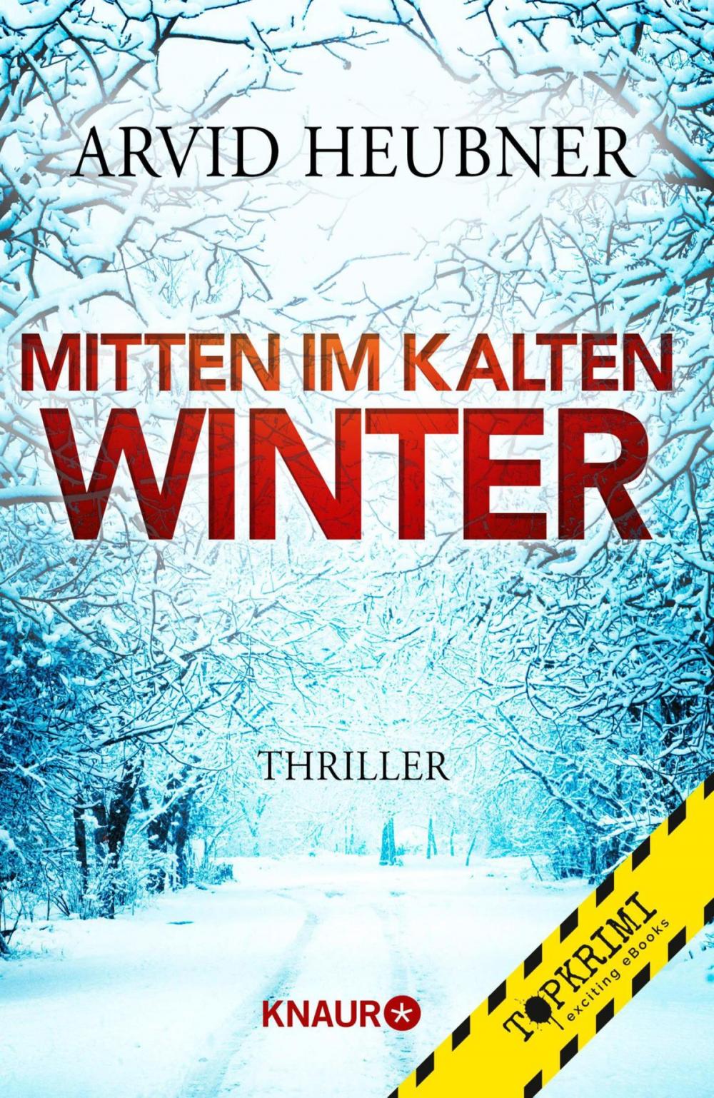 Big bigCover of Mitten im kalten Winter