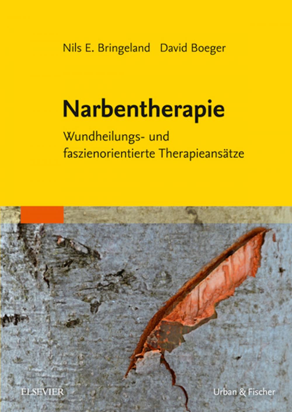 Big bigCover of Narbentherapie