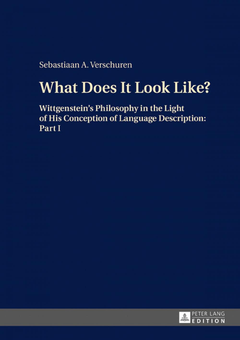 Big bigCover of What Does It Look Like?