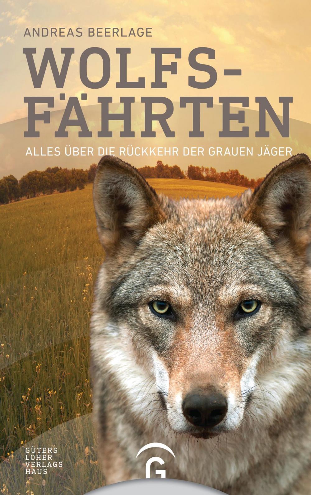 Big bigCover of Wolfsfährten