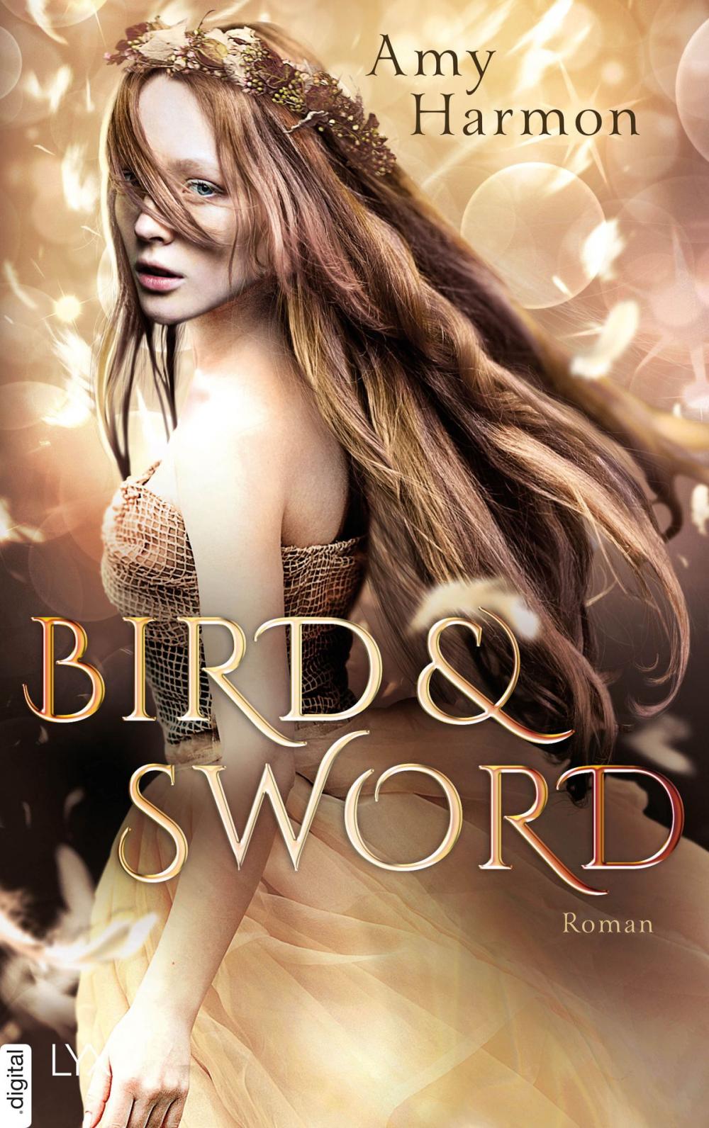 Big bigCover of Bird and Sword