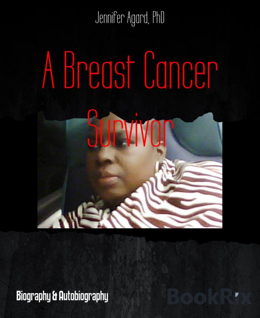 Big bigCover of A Breast Cancer Survivor