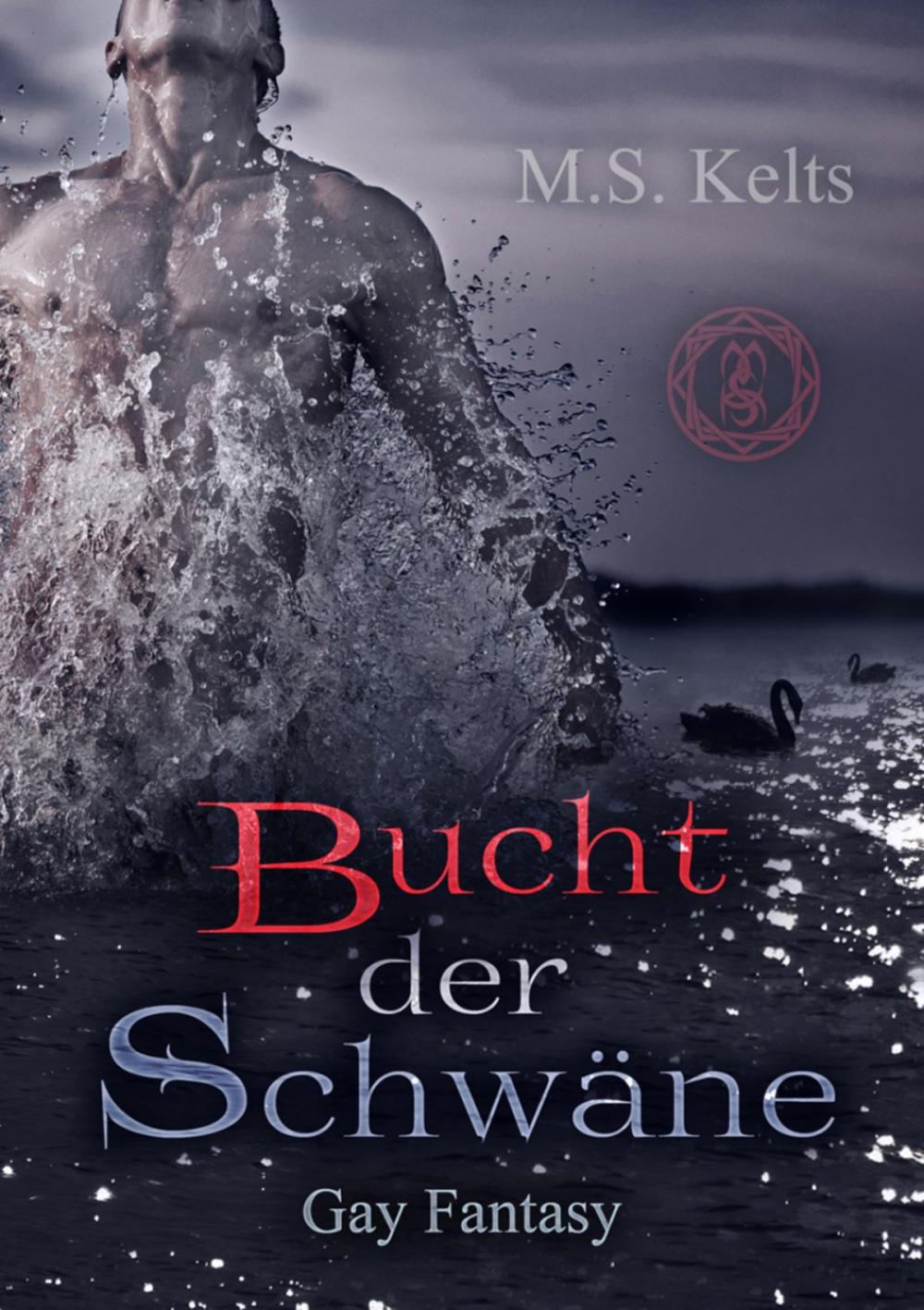 Big bigCover of Bucht der Schwäne