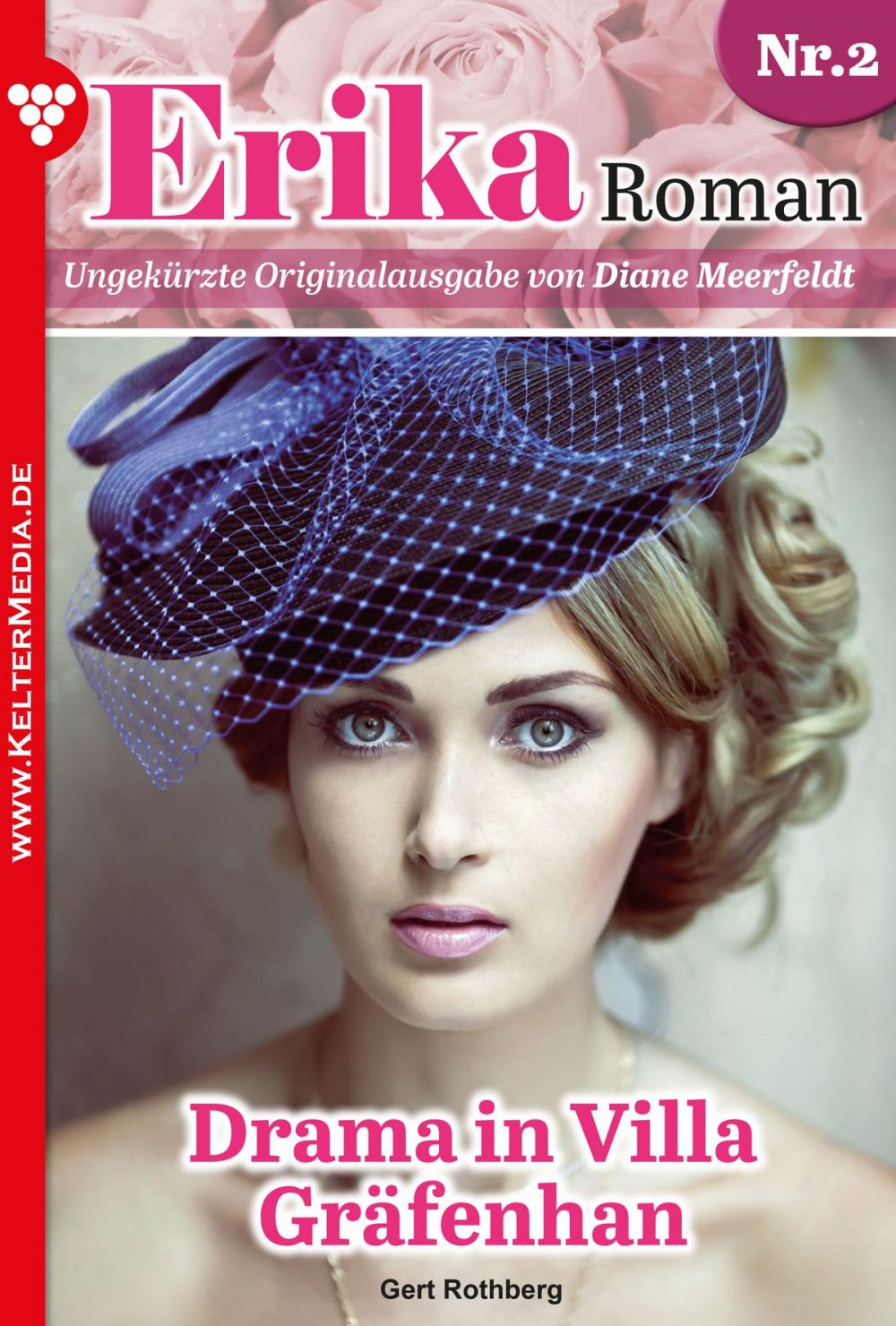 Big bigCover of Erika Roman 2 – Liebesroman