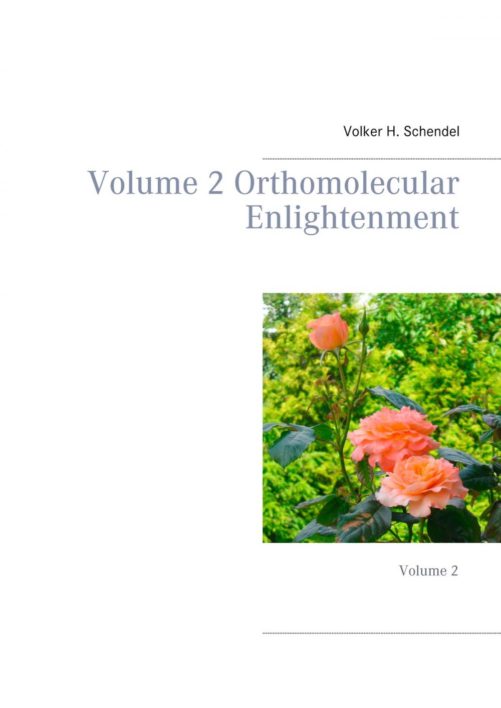 Big bigCover of Volume 2 Orthomolecular Enlightenment