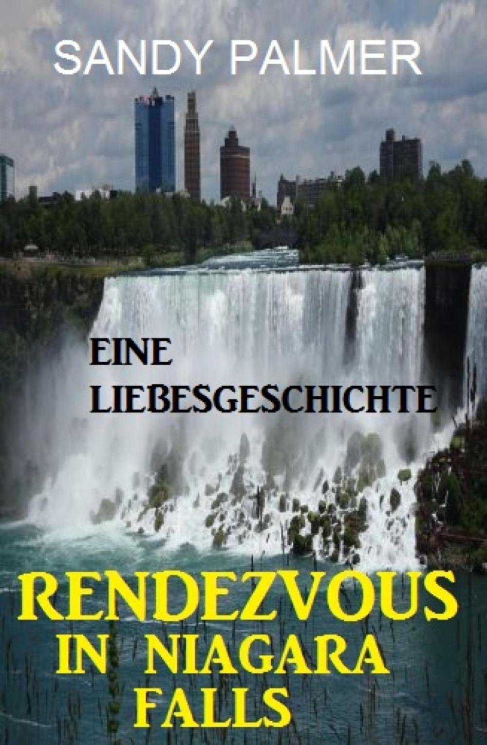 Big bigCover of Rendezvous in Niagara Falls: Eine Liebesgeschichte