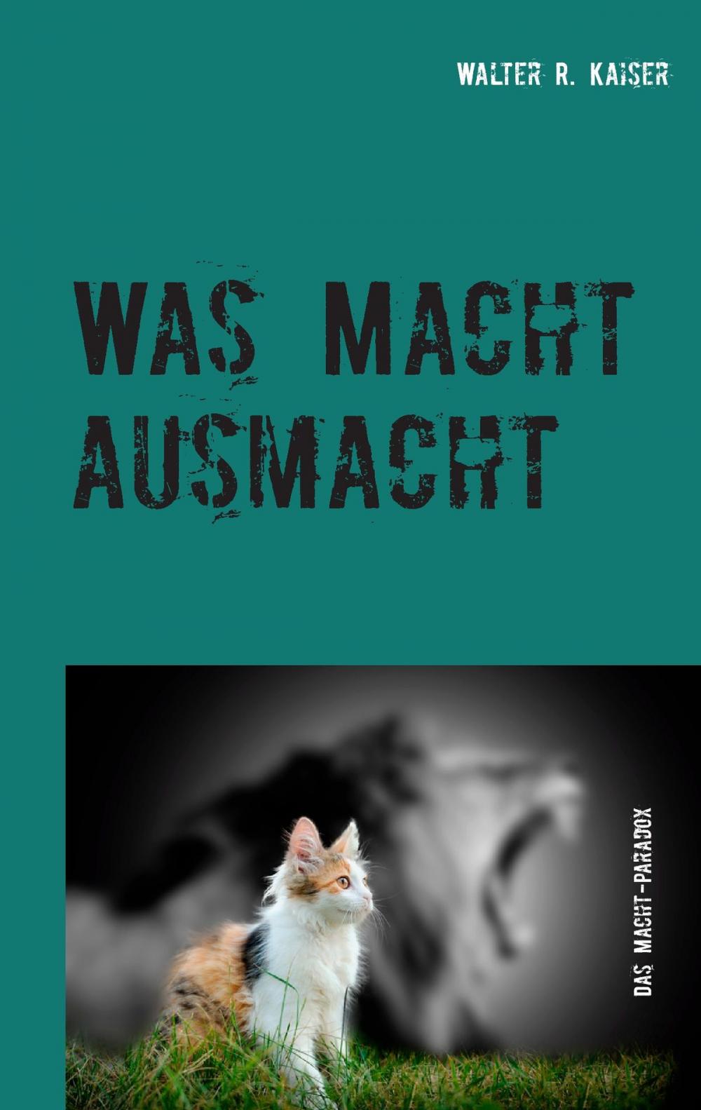 Big bigCover of Was Macht ausmacht