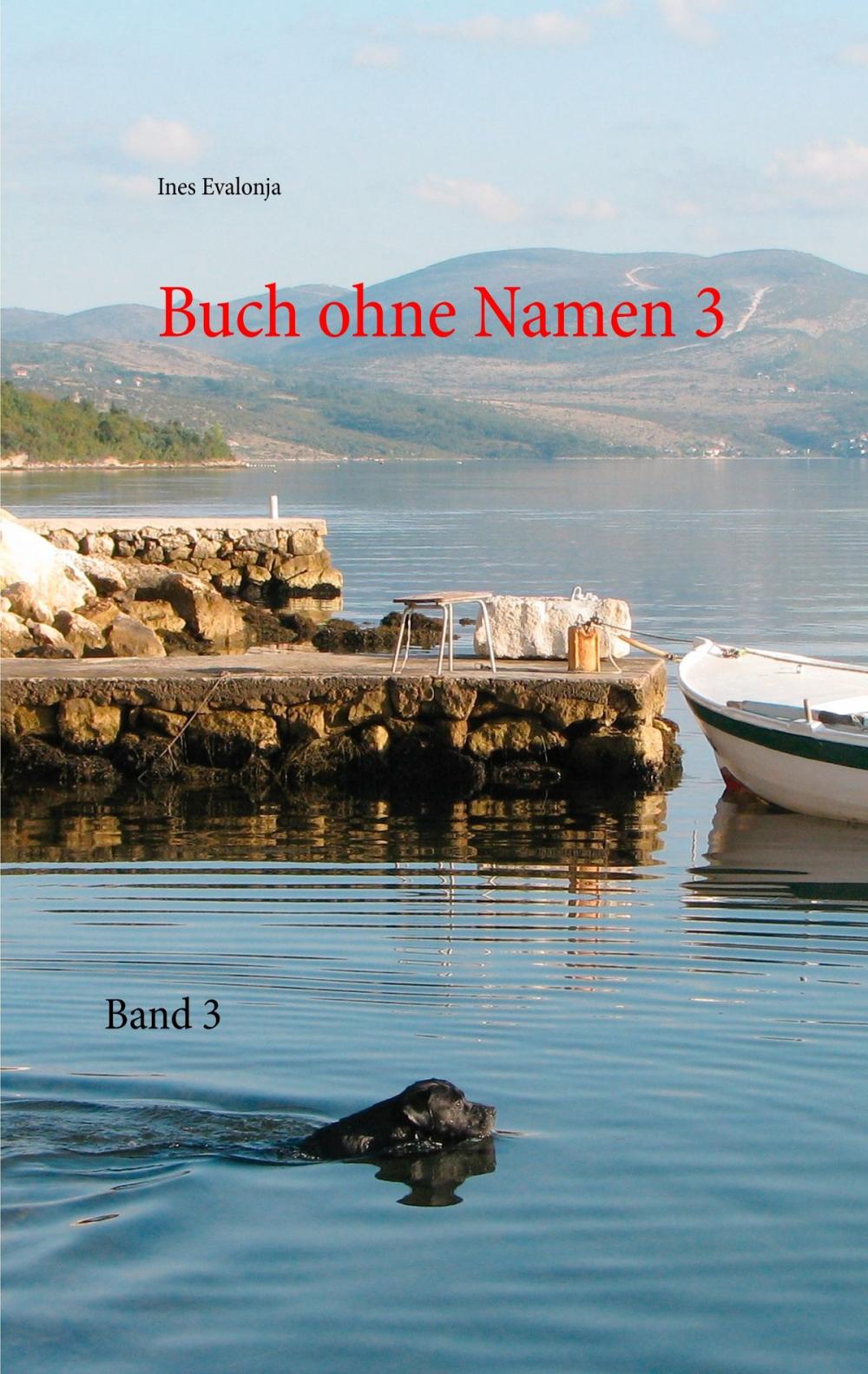 Big bigCover of Buch ohne Namen 3
