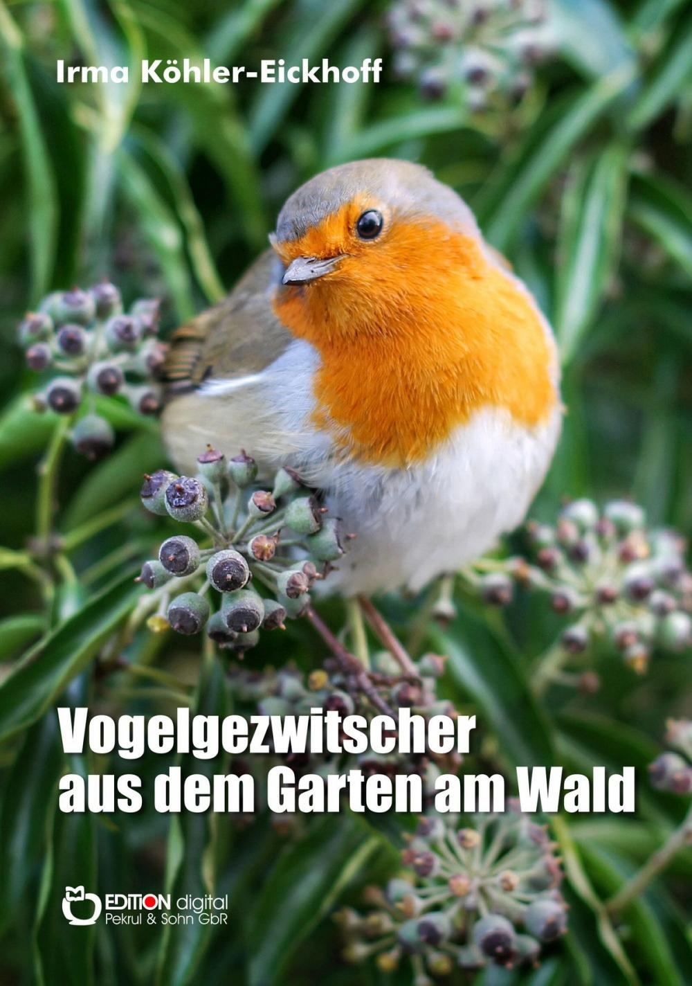 Big bigCover of Vogelgezwitscher aus dem Garten am Wald