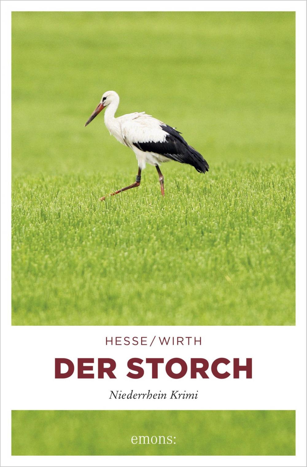 Big bigCover of Der Storch