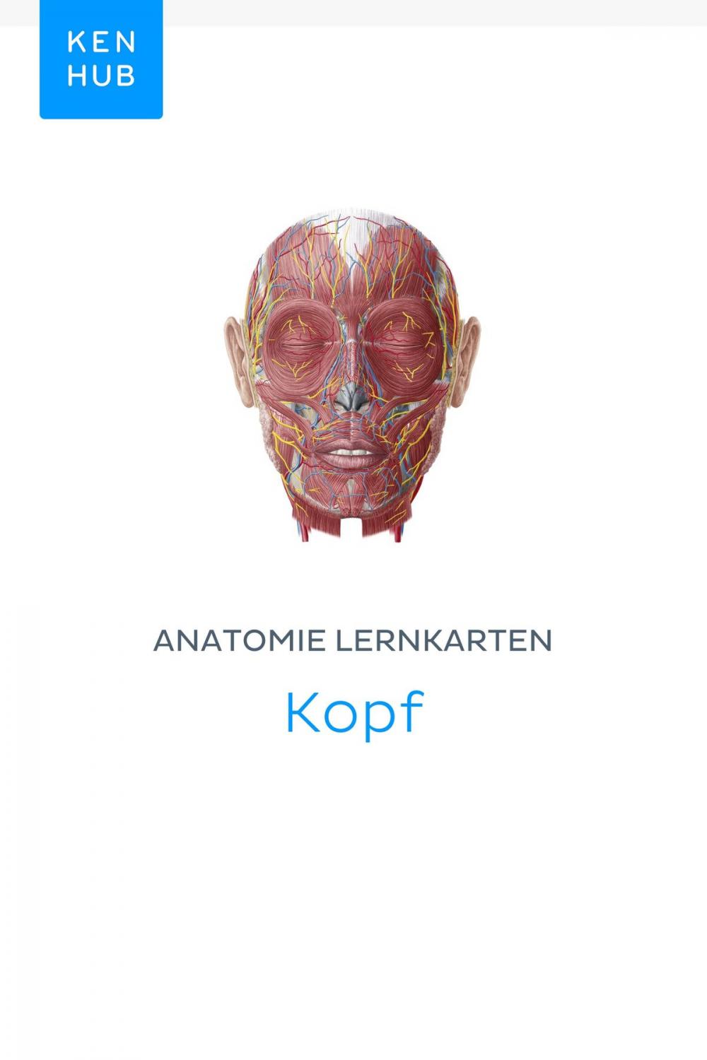 Big bigCover of Anatomie Lernkarten: Kopf