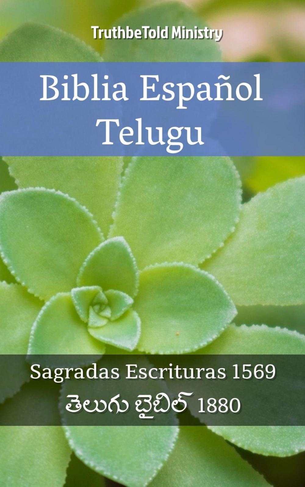 Big bigCover of Biblia Español Telugu