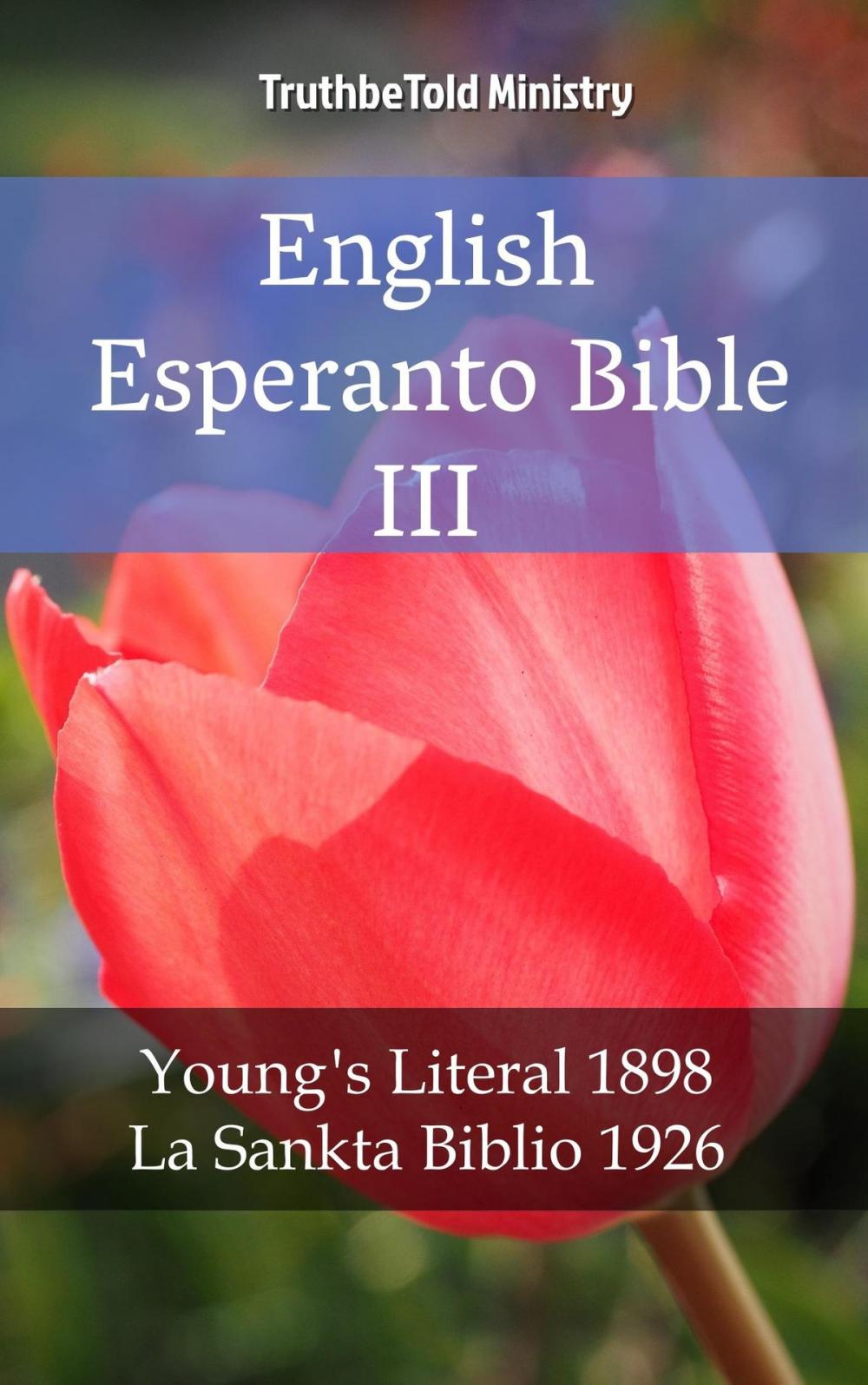 Big bigCover of English Esperanto Bible III