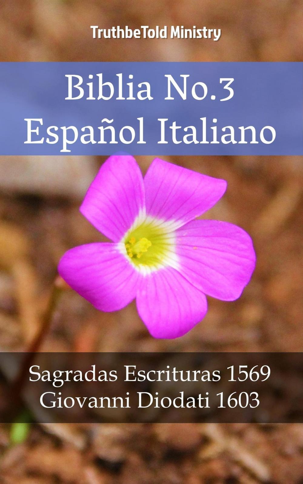 Big bigCover of Biblia No.3 Español Italiano