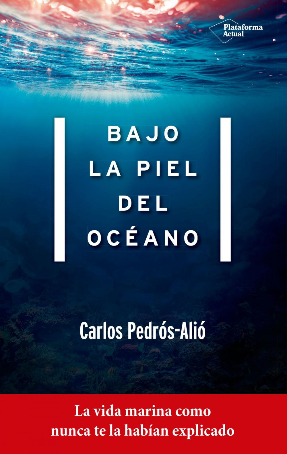 Big bigCover of Bajo la piel del océano