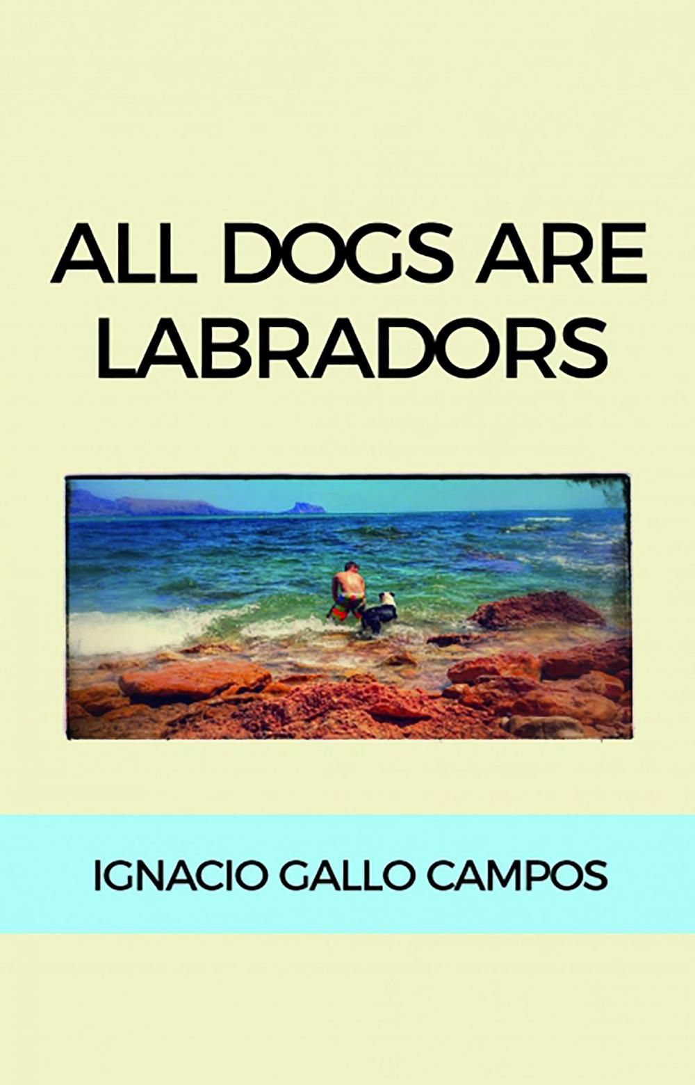 Big bigCover of All dogs are Labradors