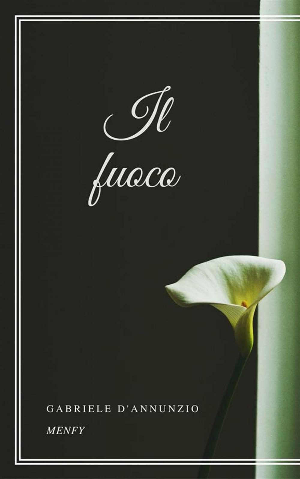 Big bigCover of Il fuoco