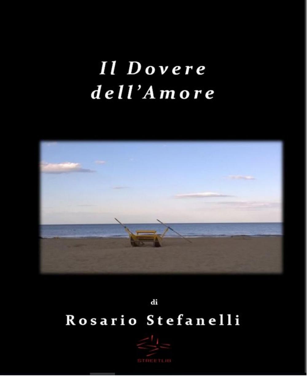 Big bigCover of Il dovere dell'Amore