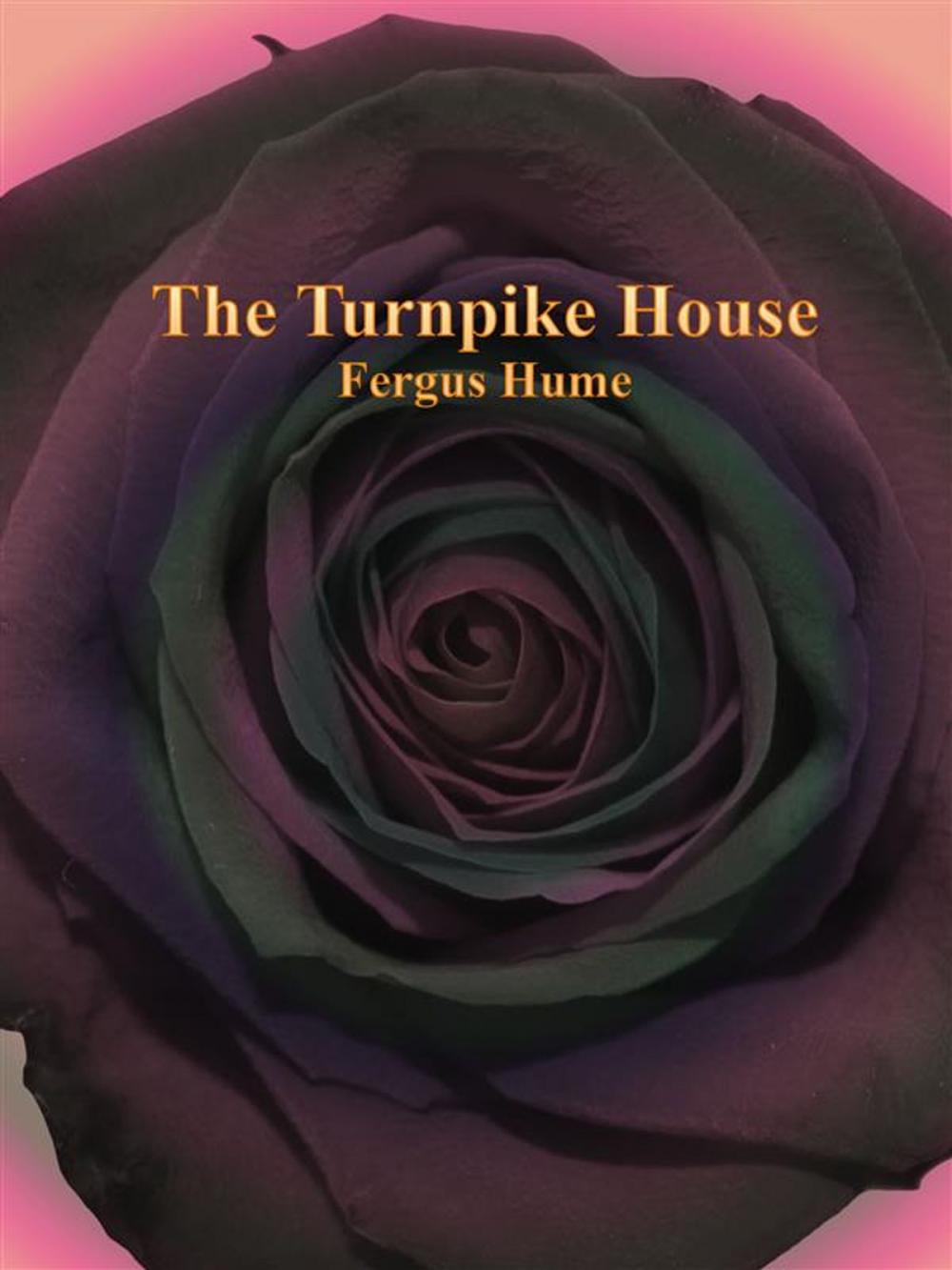 Big bigCover of The Turnpike House