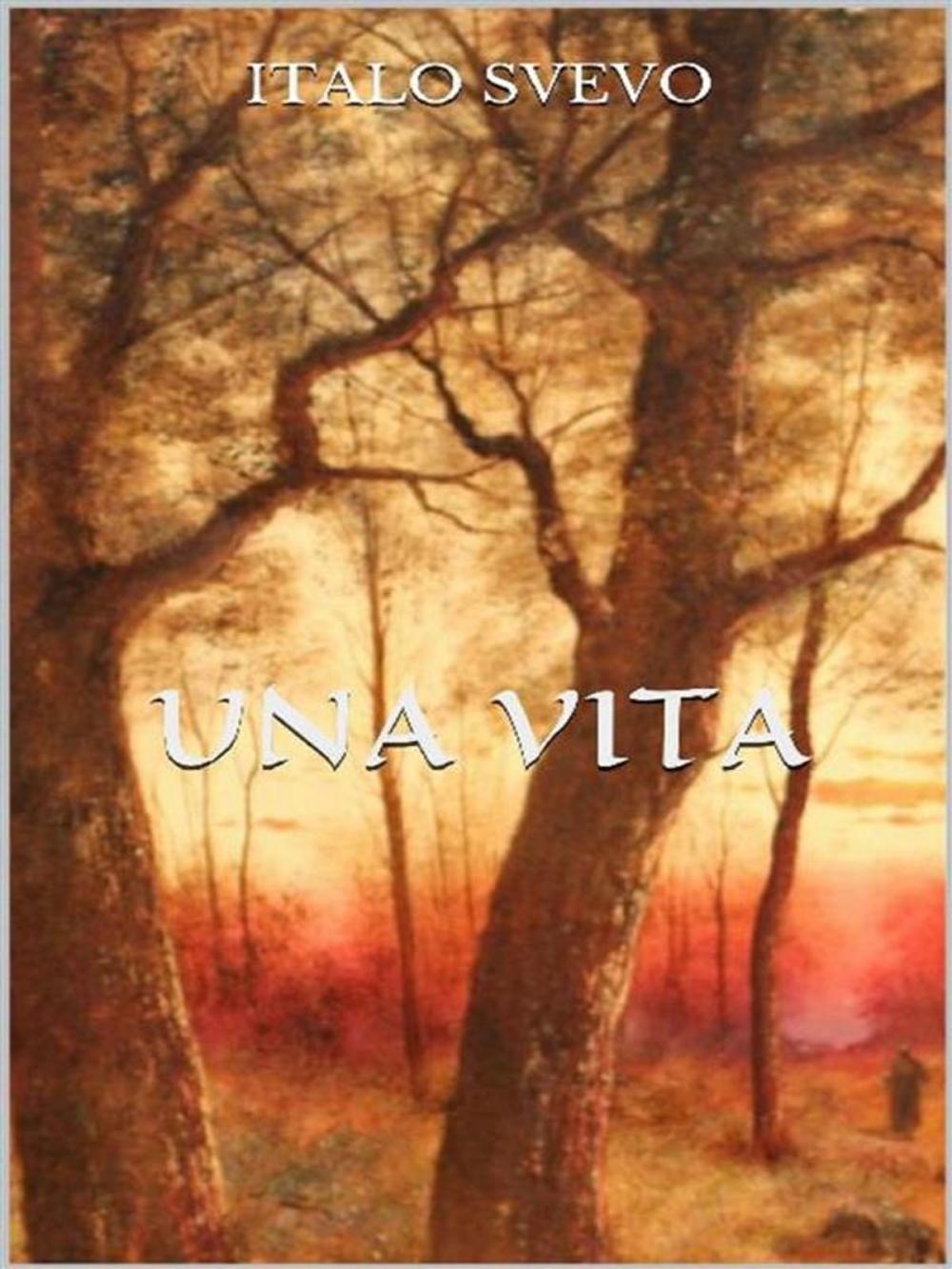 Big bigCover of Una vita