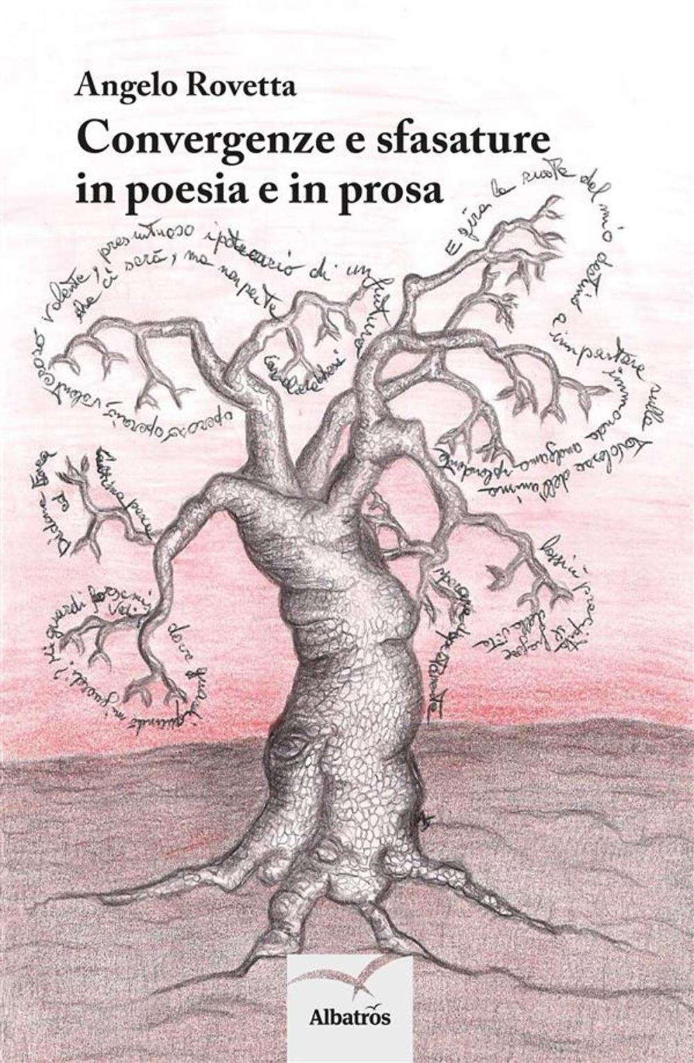 Big bigCover of Convergenze e sfasature in poesia e in prosa