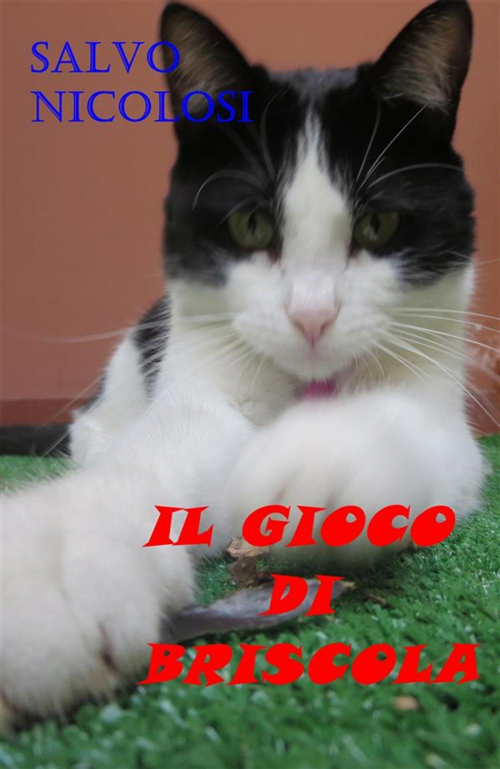 Big bigCover of Il gioco di Briscola