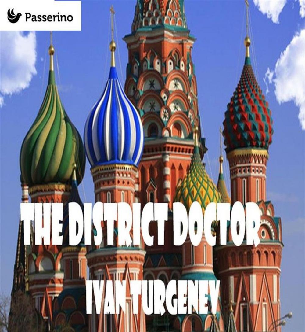 Big bigCover of The District Doctor