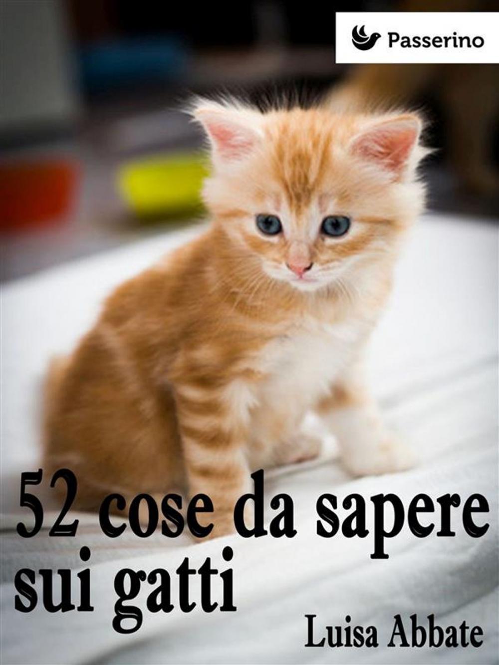 Big bigCover of 52 cose da sapere sui gatti